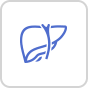 liver icon