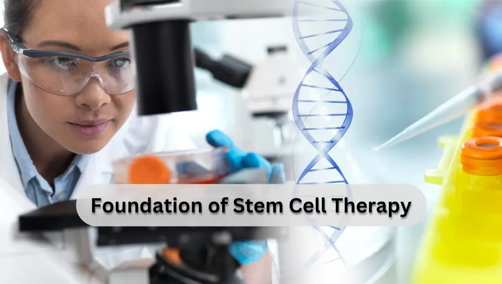 foundation of stem cell therapy