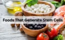 Foods That Generate Stem Cells