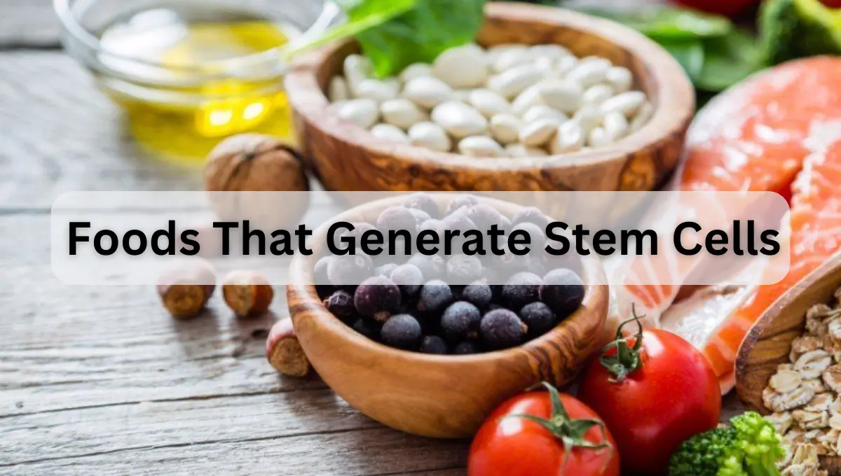 Foods That Generate Stem Cells – IRM Hospital