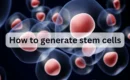 How to generate stem cells