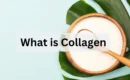 What is Collagen