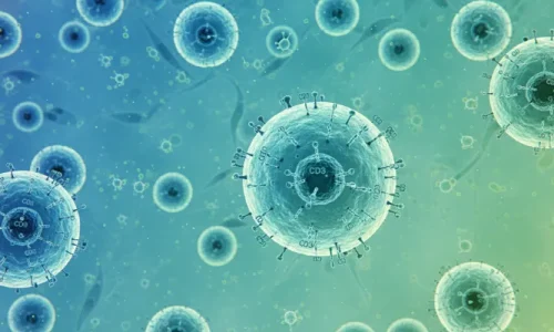 IRM Stem Cell Laboratory